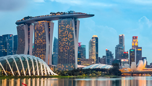 Manage international investments and shares