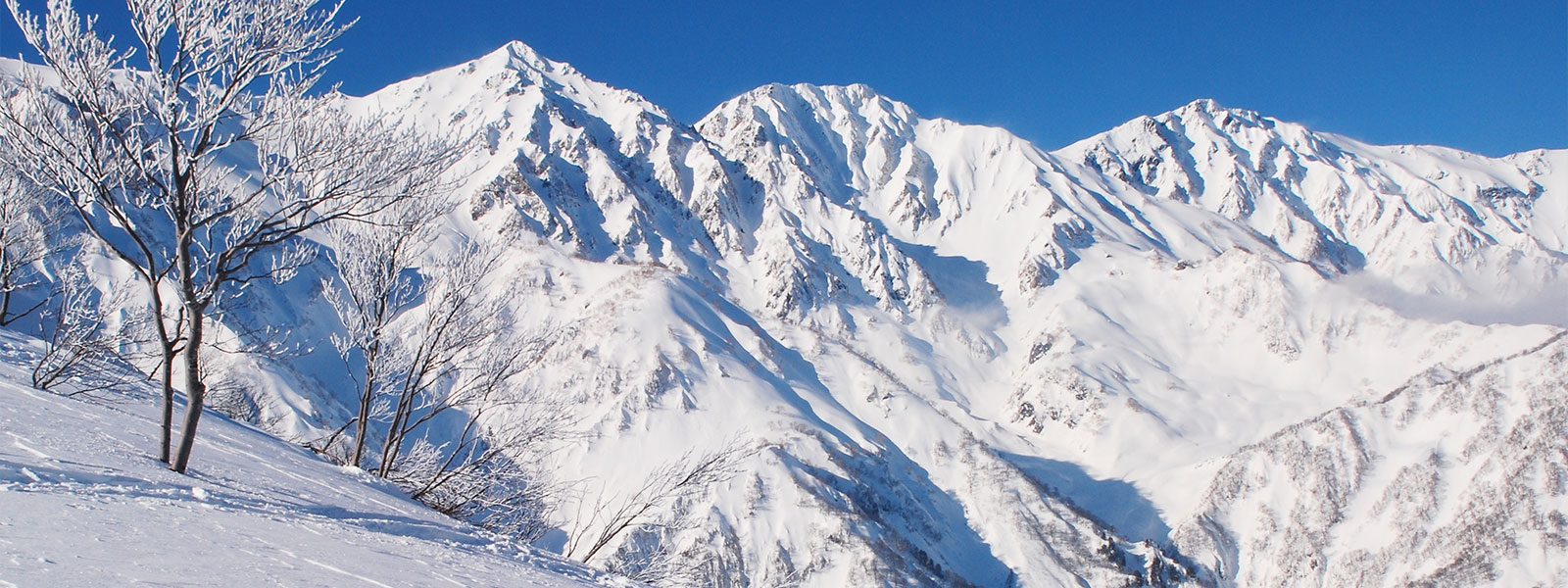 How one millennial started two successful businesses before 30