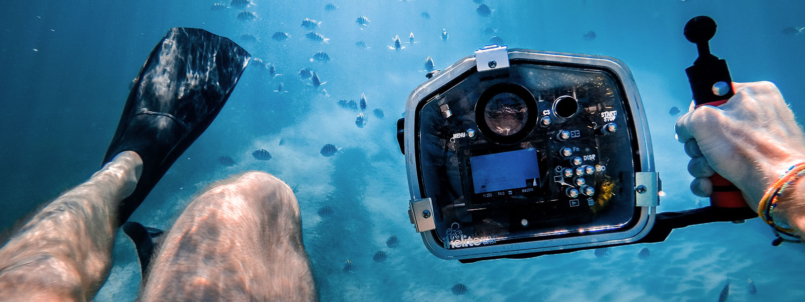 Snorkeler with camera under the sea