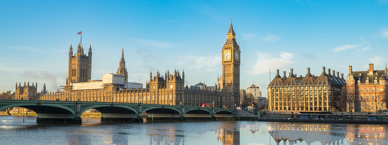 Pound update: volatility continues and how your business can prepare