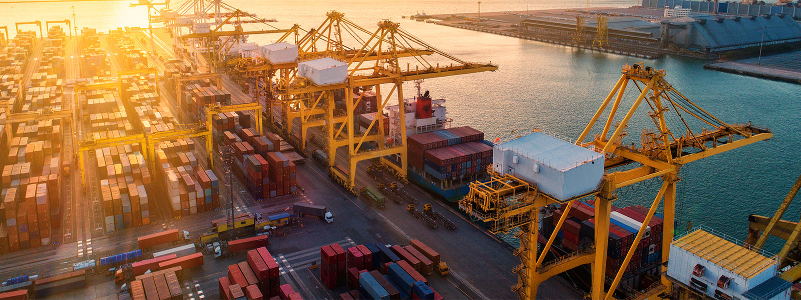 Why the Aussie is experiencing the fallout from a global trade war