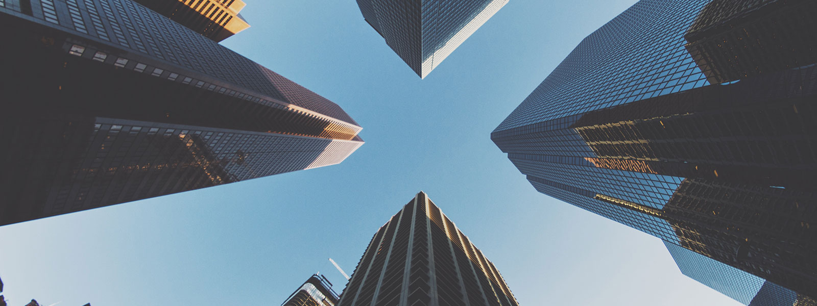 Building a unique brand in a crowded market